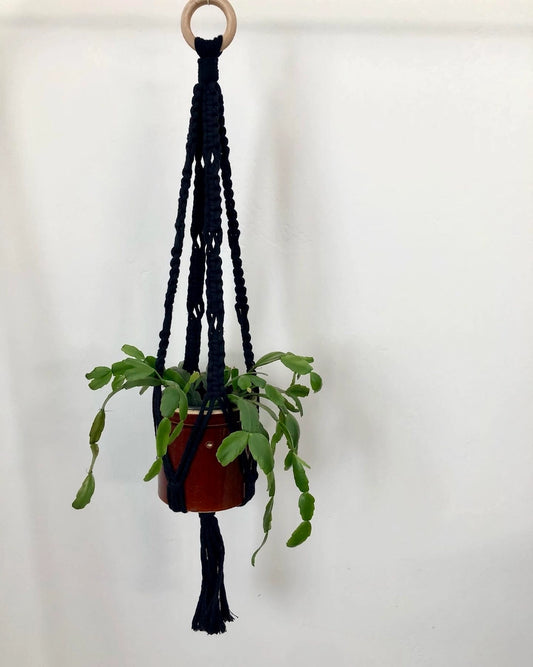 Macrame Plant Hanger (no pot)