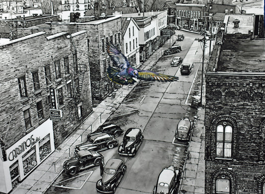 Valerie Patterson- Homing