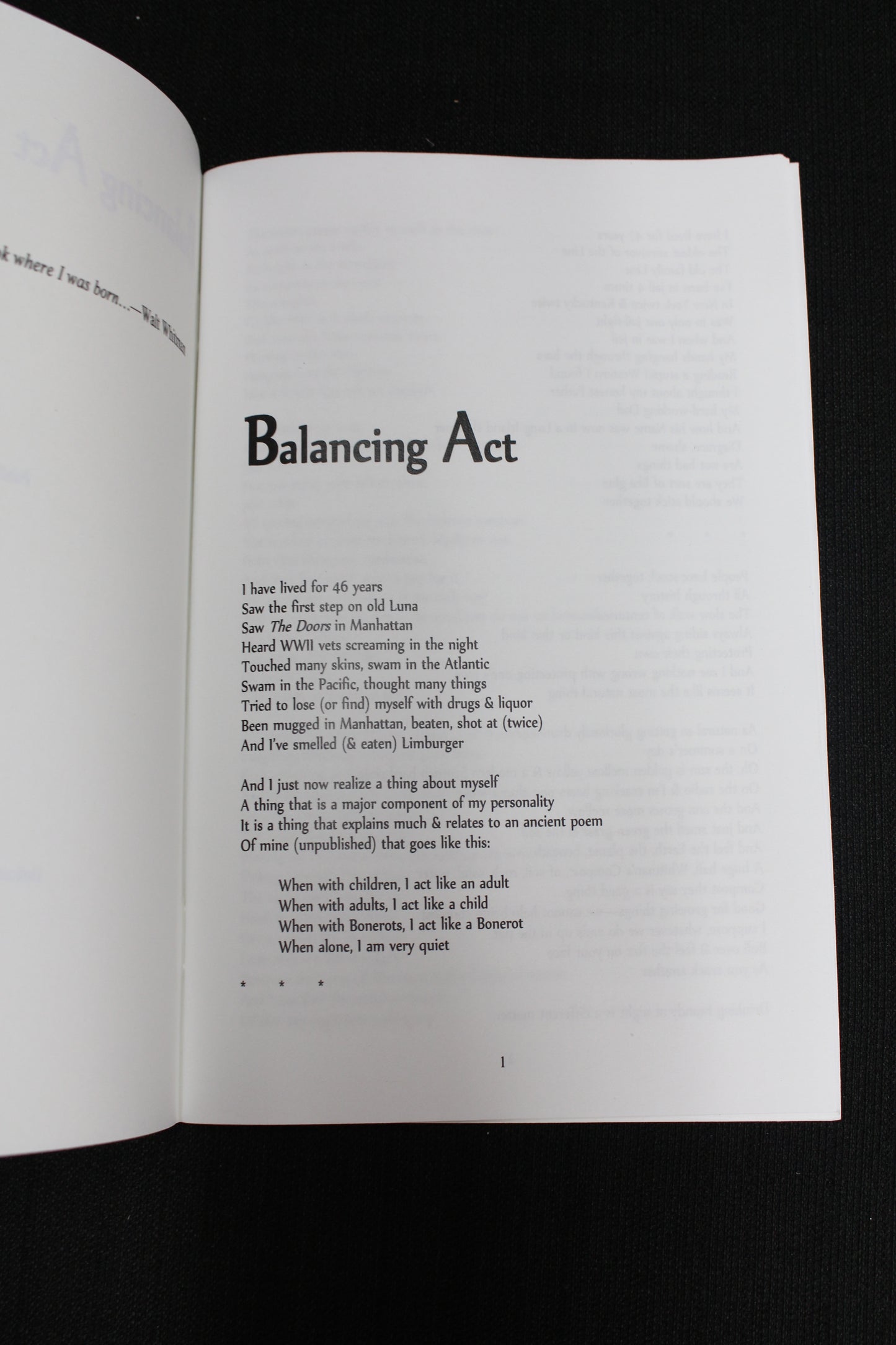 "Balancing Act" Book - John Berbrich