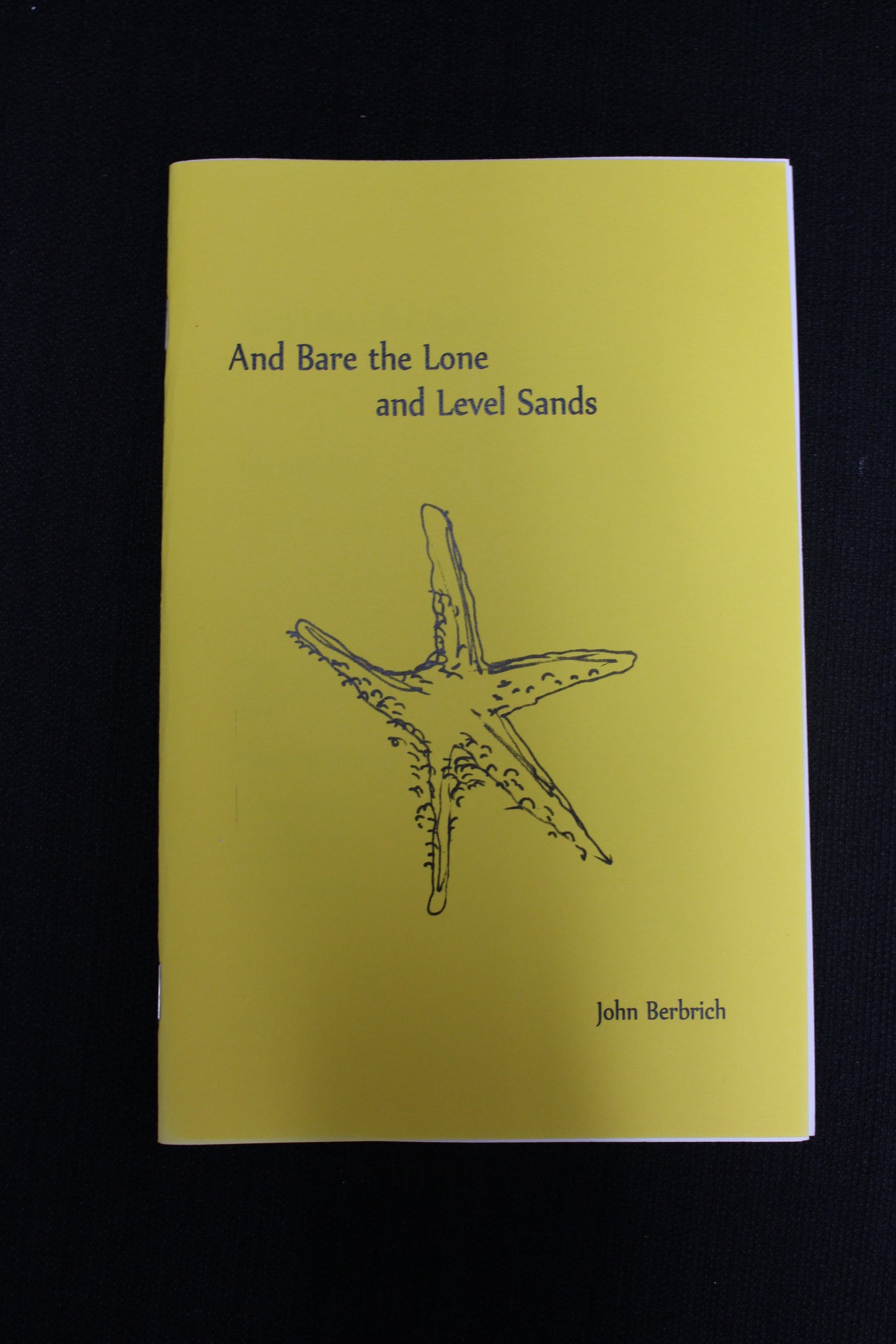 "And Bare the Lone and Level Sands" Book - John Berbrich