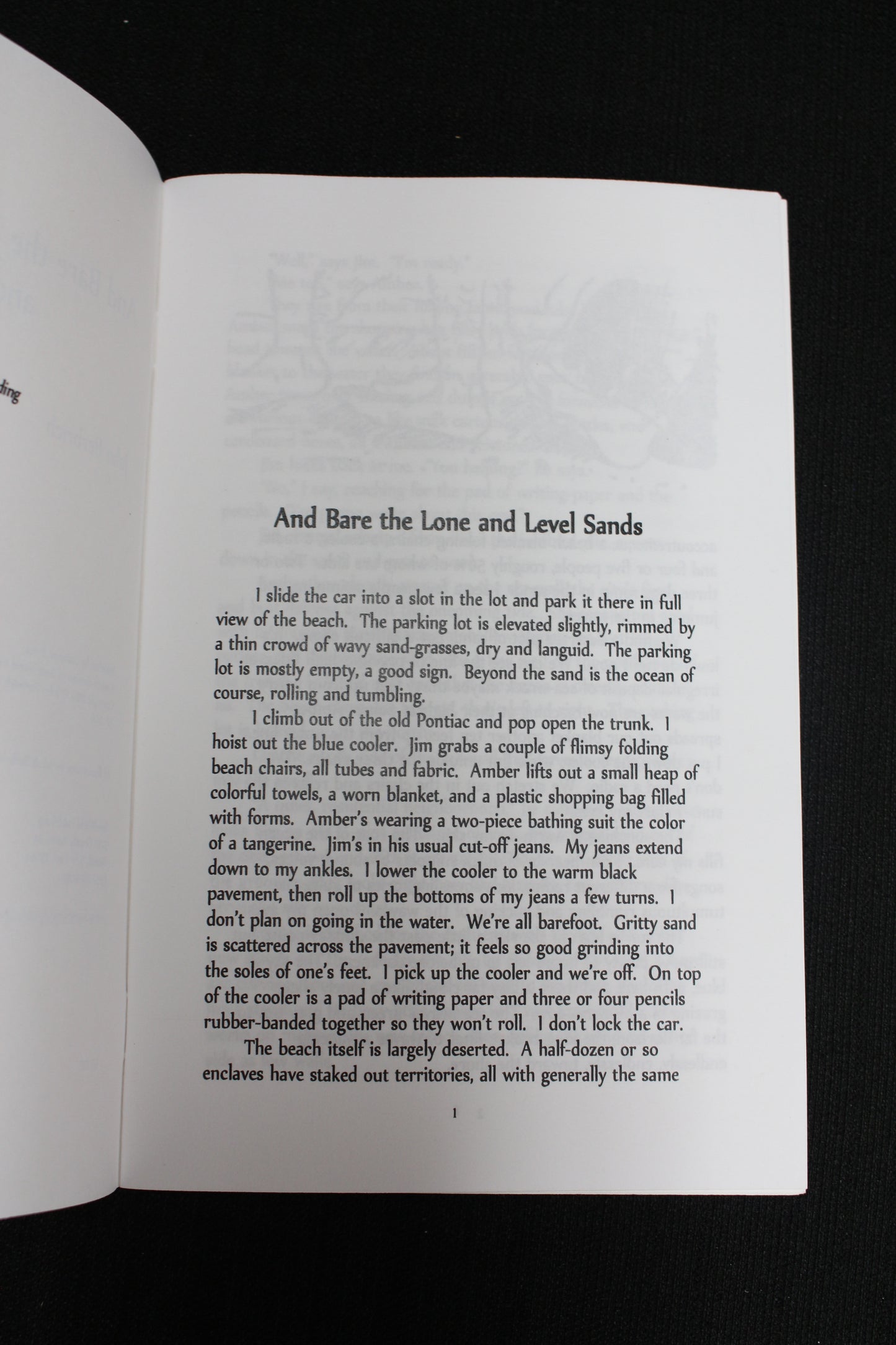 "And Bare the Lone and Level Sands" Book - John Berbrich